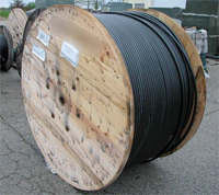 This is coaxial cable. Mine was just like this except I had twice as much.